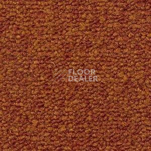 Ковролин Radici Trotter Aragosta 9463 фото 1 | FLOORDEALER